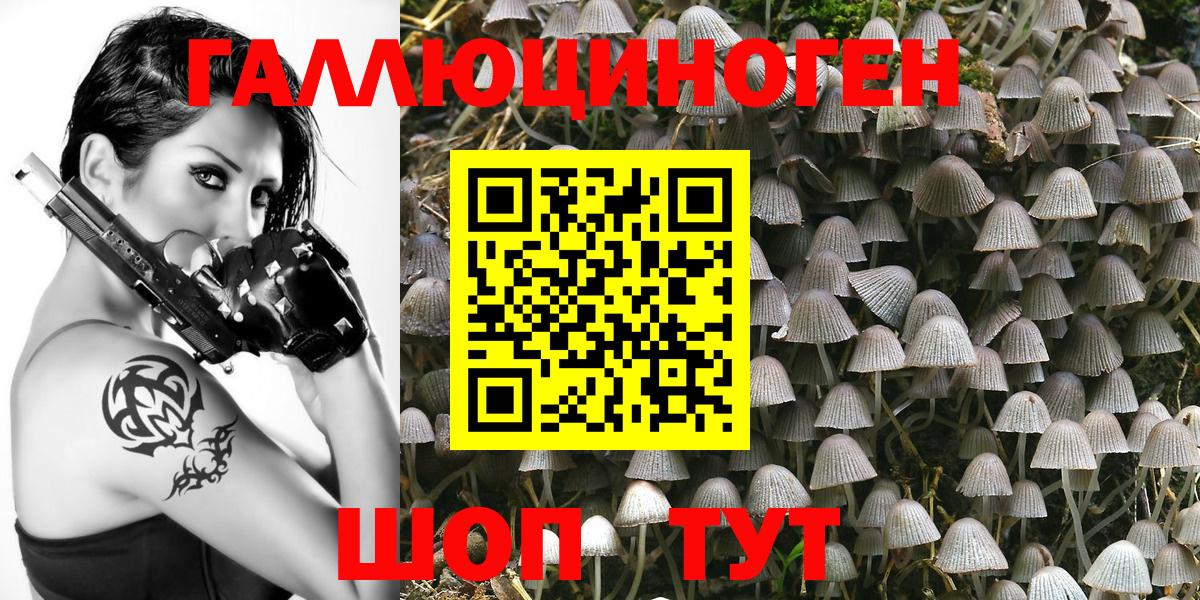 Южноуральск  Псилоцибиновые грибы Magic Shrooms  Вход с VPN  Псилоцибиновые грибы MAGIC MUSHROOMS 